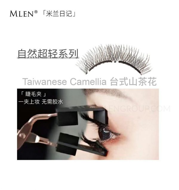 mlen group mlen magnetic eyelashes taiwanese camellia 02