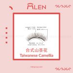 mlen group mlen magnetic eyelashes taiwanese camellia 1