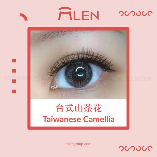 mlen group mlen magnetic eyelashes taiwanese camellia 2