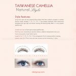 mlen group mlen magnetic eyelashes taiwanese camellia 8