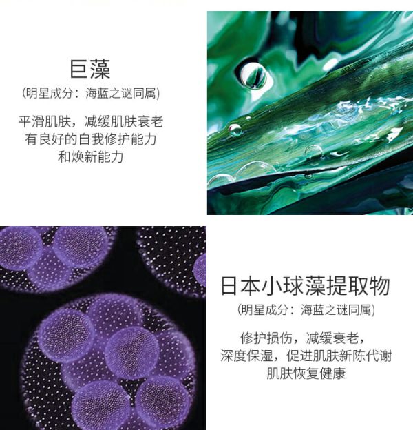 mlen group o michly marine raw silk tender mask 6 mlen group o michly marine raw silk tender mask 6